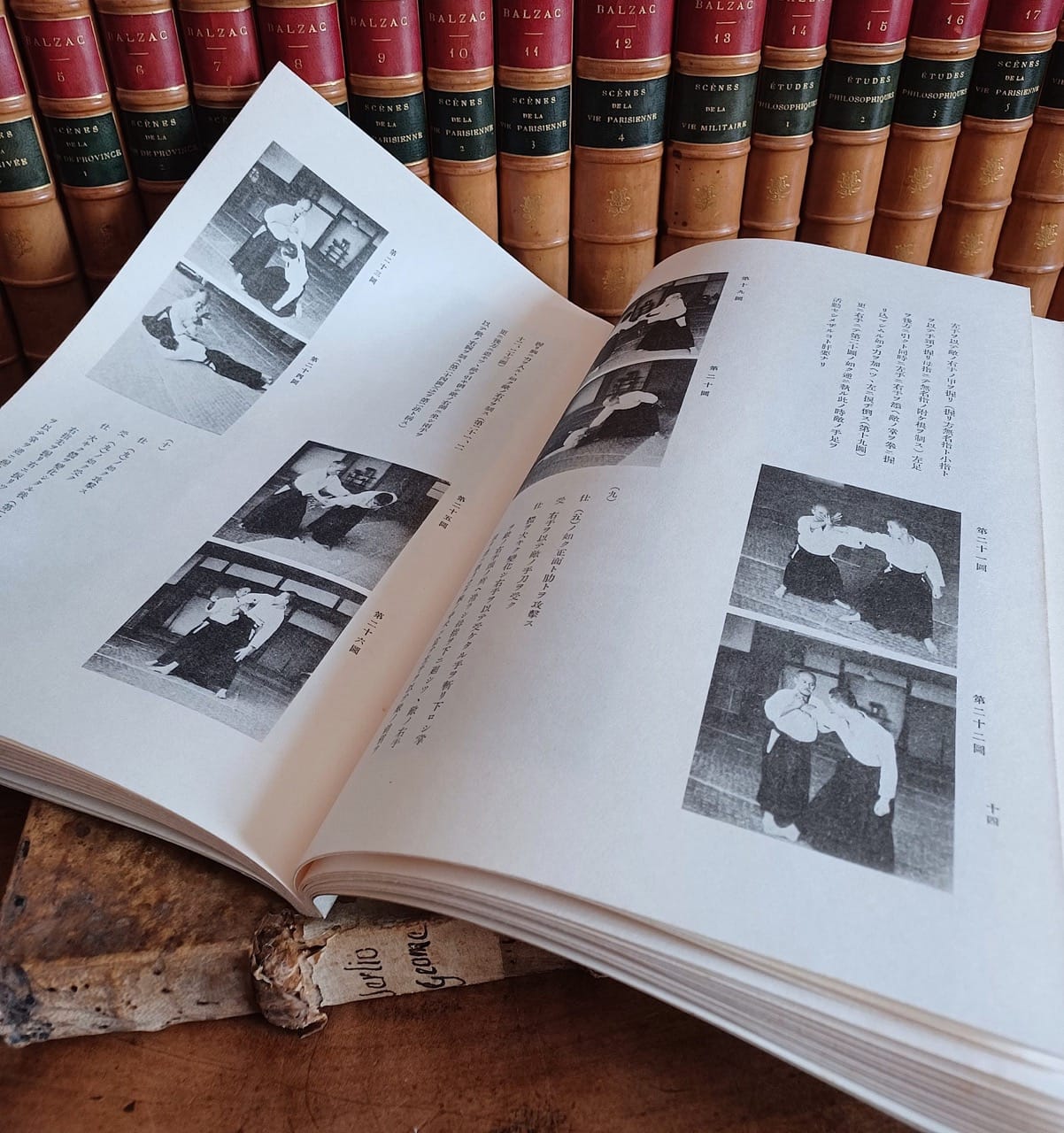The hidden book of the founder of Aikido decrypted by Philippe VOARINO